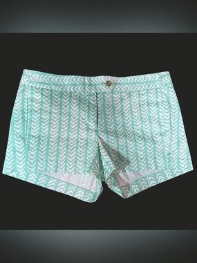 J. Crew Stretch Chino Shorts Mint Chevron Print Size 4